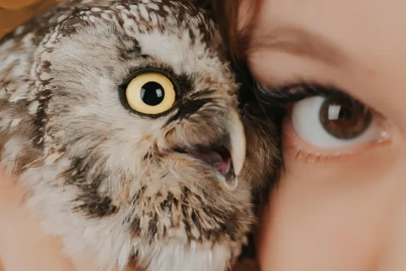 Casino Royal Winner Suporte